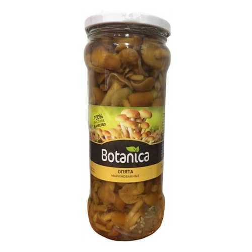 Грибы Botanica опята маринованные 370 мл в Ариант