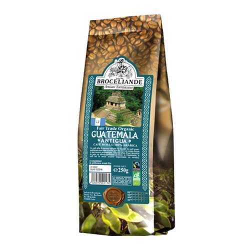 Кофе молотый Broceliande Guatemala 250 г в Ариант